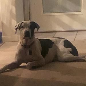 Meet your Posher, Kye